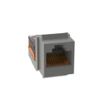 PANDUIT - MODULO A 8 CAVI, 8 POSIZIONI UNIVERSALE,