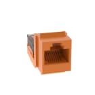 PANDUIT - MODULO A 8 CAVI, 8 POSIZIONI UNIVERSALE,