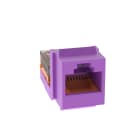 PANDUIT - MODULO A 8 CAVI, 8 POSIZIONI UNIVERSALE,