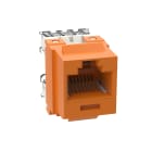 PANDUIT - MODULO KEYSTONE A 8 FILI, 8 POSIZIONI, C
