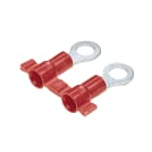 PANDUIT - TERMINALE METRICO AD ANELLO SU BOBINA, C