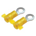 PANDUIT - TERMINALE AD ANELLO SU BOBINA, CON ISOLA