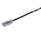 PANDUIT - BRETTELLE SD CAT6 UTP 28AWG 0.5MT, BLU