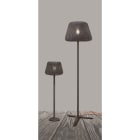 PANZERI CARLO - RALPH: EST.TERRA 50 MARRONE METAL NOLED