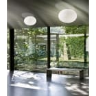PANZERI CARLO - GILBERT: SOFFITTO 45 BIANCO NOLED PORTA