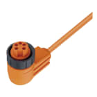 PEPPERL + FUCHS FA - Cavo femmina V95-W-2M-PVC, cavo elettrico resistente alle alte temperature e agli agenti atmosferici.