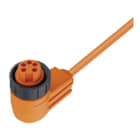 PEPPERL + FUCHS FA - Cavo femmina V95-W-5M-PVC.