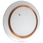 PEPPERL + FUCHS - Transponder RFID IPC11-50CD 10 pezzi 10PCS.
