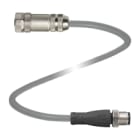 PEPPERL + FUCHS FA - Cavo di collegamento V19-G-2M-PVC-TP-V19-G.