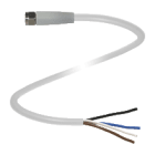 PEPPERL + FUCHS FA - Cavo femmina V31-GMV4A-5M-PP-W1