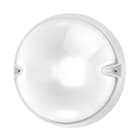 PERFORMANCE IN LIGHTING - Apparecchio a parete e soffitto 1x30W FBT Ottica simmetrica extra diffodente CHIP TON 30 BIANCO.