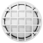 PERFORMANCE IN LIGHTING - Apparecchio a parete e soffitto 1x100W Ottica simmetrica extra diffodente EKO+26/G E27 BIANCO.