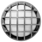 PERFORMANCE IN LIGHTING - Apparecchio a parete e soffitto 1x100W Ottica simmetrica extra diffodente EKO+26/G E27 GR/M. 302074