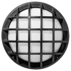 PERFORMANCE IN LIGHTING - Apparecchio a parete e soffitto 1x100W Ottica simmetrica extra diffondente EKO+26/G E27 ANTR.