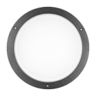 PERFORMANCE IN LIGHTING - Led apparecchio a parete e soffitto 21,5W 3000K statica ottica simmetrica extra diffondente BLIZ ROUND 30 AN96.