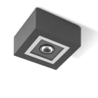 PERFORMANCE IN LIGHTING - Led apparecchio a plafone MIMIK 10 CEILING C/I20 10W 4000K statica Ottica circolare intensiva AN96.