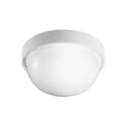 PERFORMANCE IN LIGHTING - Apparecchio a parete e soffitto 1x60W Ottica simmetrica extra diffondente DROP 20 BIANCO.