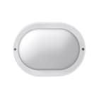 PERFORMANCE IN LIGHTING - Apparecchio a parete Ottica simmetrica extra diffondente 1x15W EKO 19 E27 750 BIANCO.