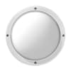 Miniatura Immagine principale 1