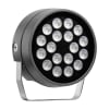 Miniatura Immagine principale 1