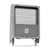 Miniatura Immagine principale 1