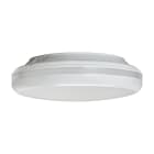 PERFORMANCE IN LIGHTING - led apparecchio a parete e soffitto 3000k 17w statica emergenza 3h hf ottica simmetrica extra diffodente cly 15 s/ew 830/40 wh87 em3 dls detek