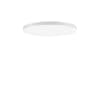 Miniatura Immagine principale 1