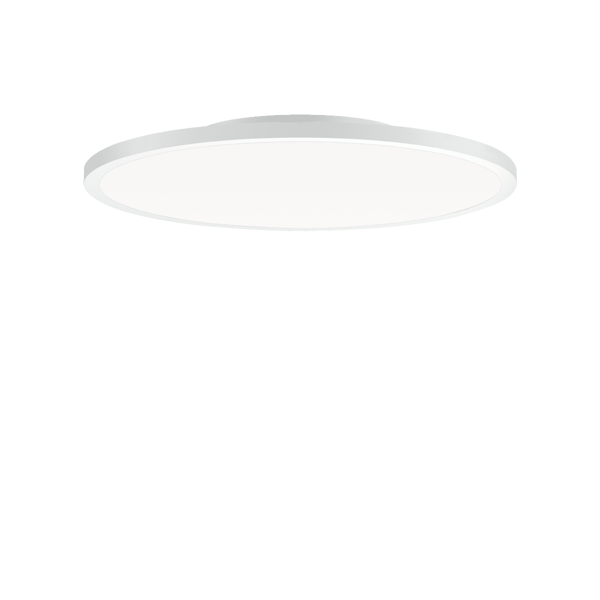 PERFORMANCE IN LIGHTING - FL R+ 555 SM 19 S/B 8TW WH9016 DT8 OP