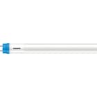 PHILIPS LIGHTING - Corepro Tubo Led 600mm 8W 840 T8.