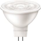PHILIPS LIGHTING - MZD LED 50W GU5.3 840 12V 60D ND 1CT/10
