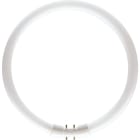 PHILIPS LIGHTING - Master TL5 Circular 60W/840 1CT/10.