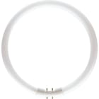 PHILIPS LIGHTING - MASTER TL5 CIRCULAR 60W/840 1CT/10