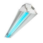 PHILIPS LIGHTING - TMS030 1XT8 36W/TUV HFP R.