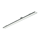 PHILIPS LIGHTING - Maxos Fusion 41W 6200lm 4000K DALI Fascio largo Testurizzata Nero IP20 LL523X LED62S/840 PSD WB 7 BK