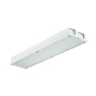 PHILIPS LIGHTING - Unità di alimentazione con interfaccia DALI, 940 bianco neutro, connettore a pressione 5 poli, CR350B LED60S/940 PSD W30L120.