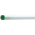 PHILIPS LIGHTING - MASTER TL-D Eco - Fluorescent lamp - Consumo energetico: 15.8 W - Classe di efficienza energetica: G - Temperatura del colore correlata: 4000 K - 16W/840 SLV/25