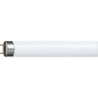 PHILIPS LIGHTING - MASTER TL-D Super 80 Fluorescent lamp Consumo energetico 18.2 W Classe di efficienza energetica G Temperatura del colore correlata 4000 18W/840 1SL/25.