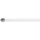 PHILIPS LIGHTING - TL Mini Standard - Fluorescent lamp - Consumo energetico: 7.1 W - Classe di efficienza energetica: G - Temperatura del colore correlata: 6500 K - 8W/54-765 FAM/10X25BOX.