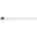 PHILIPS LIGHTING - MASTER TL Mini Super 80 - Fluorescent lamp - Consumo energetico: 7.1 W - Classe di efficienza energetica: G - MST TL MINI 8W/827 FAM/10X25BOX.