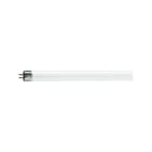 PHILIPS LIGHTING - MASTER TL Mini Super 80 - Fluorescent lamp - Consumo energetico: 6.0 W - Classe di efficienza energetica: G - MST TL MINI 6W/840 FAM/10X25BOX.