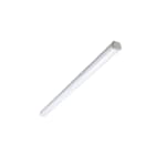 PHILIPS LIGHTING - Ledinaire apparecchio a tenuta stagna, 65 W, L1800 mm, 8000 lm, 4000 K, Simmetrica, Opale, IP66, IK08 WT060C LED80S/840 PSU L1800 BN.