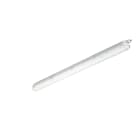PHILIPS LIGHTING - CoreLine Stagna LED 33W L1200mm 4000lm 4000K Fascio largo Smerigliata IP65 IK08 TW1-ready ELB3h WT120C G2 LED40S/840 PSU L1200.