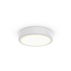 PHILIPS LIGHTING - TCBRMS 19S/930 DIA OC WH401T102