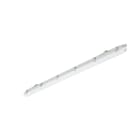 PHILIPS LIGHTING - Ledinaire Stagna WT065C 31W L1500mm 3500lm 4000K Simmetrica Opale IP65 IK08 TW1-ready G3 LED35S/840 PSU L1500 BN