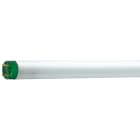 PHILIPS LIGHTING - MASTER TL-D Eco - Fluorescent lamp - Consumo energetico: 49.8 W - Classe di efficienza energetica: G - Temperatura del colore correlata: 6500 K - 51W/865 SLV/25