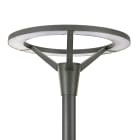 PHILIPS LIGHTING - BPP008 LED-MP 830 PSU I GR 60P StreetSaver gen2, 2300 lm, 27 W, Bianco neutro, Simmetrica, Classe di isolamento I, Testa palo per diametro 60 mm