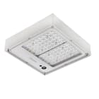 PHILIPS LIGHTING - Mini 300 LED, Under-canopy light, 48 W, 7462 lm, 5700 K, CRI70, Interna, Petrol Rotational Symmetric Medium, IP66.