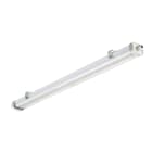 PHILIPS LIGHTING - Pacific LED Gen5, Waterproof, 39.5 W, 6400 lm, 4000 K, DALI, Fascio largo, Trasparente, IP66, IK08, WT490C 64S/840 PSD WB PI5.