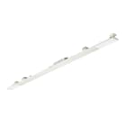 PHILIPS LIGHTING - Maxos Universal, 36W, L1517mm, 5700lm, 4000K, Fascio largo, Testurizzata, Bianco, IP20.