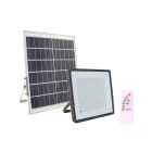 PHILIPS LIGHTING - Proiettore LED Solar, 20W, 2800lm, 4000K, CRI80, IR remoto, Simmetrico, IP65.